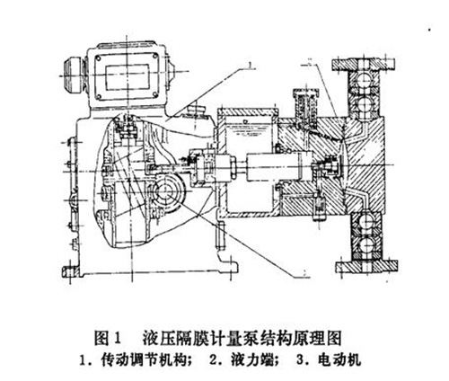 计量泵结构